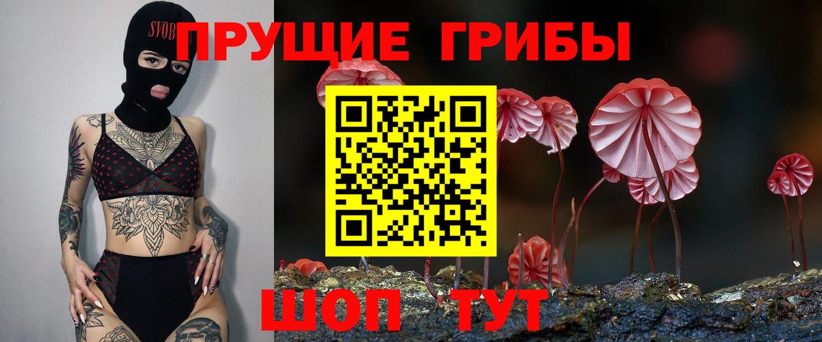 Псилоцибиновые грибы Psilocybe  Галлюциногенные грибы Magic Shrooms  Отрадный  Вход с VPN 