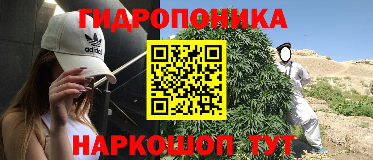 МАРИХУАНА Bruce Banner Отрадный